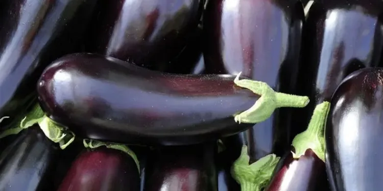 Mart ayında en çok patlıcan pahalandı