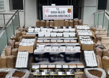 Bursa’da kaçak tütün operasyonu
