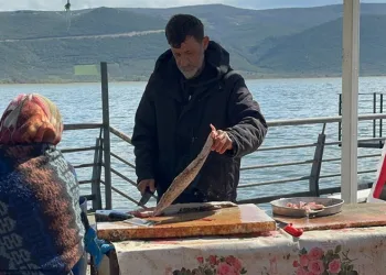 Bursa’da turna sezonu pahalı açıldı