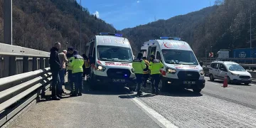 TEM Otoyolu’nda 5 aracın karıştığı zincirleme kaza: 5 yaralı