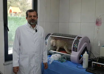 Gürsu Butik Hayvanat Bahçesi yeni sakinlerini ağırlıyor