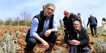 Gemlik Belediyesi Lavanta Bahçesi Kuruyor