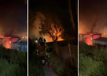 Bursa’da gece yarısı konteynır alevlere teslim oldu