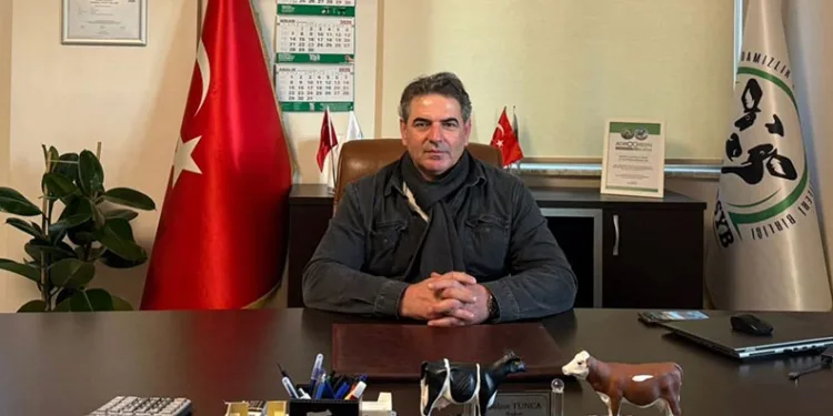 CHP’li meclis üyesine kadına şiddetten ev hapsi
