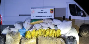 Muş’ta 1 ton 200 kilogram bandrolsüz tütün ele geçirildi
