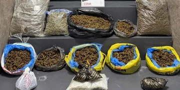İzmir’de 16 kilo 550 gram esrar ele geçirildi