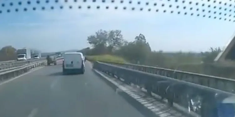 Ters yönden gelen at arabası trafiği tehlikeye attı