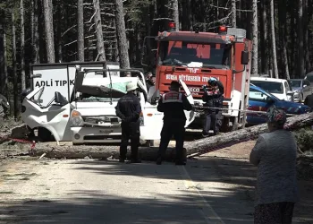 Uludağ’da kesilen ağaç kamyonetin üzerine devrildi: 1 ölü