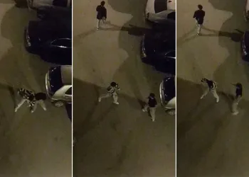 Bursa’da sokak ortasında boks ringlerini aratmayan kavga