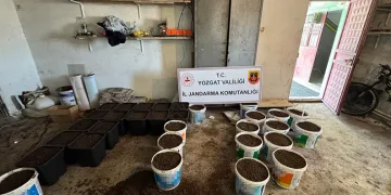 Yozgat’ta uyuşturucu yetiştirme düzeneği ve uyuşturucu madde ele geçirildi