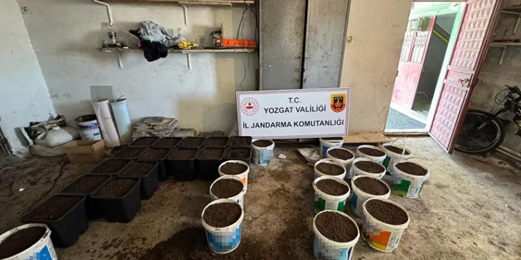 Yozgat’ta uyuşturucu yetiştirme düzeneği ve uyuşturucu madde ele geçirildi