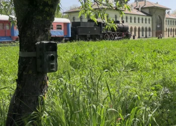 Edirne’de fotokapanlar yaban hayatını görüntülüyor