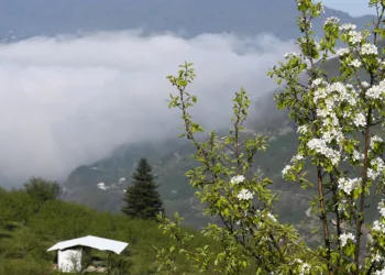 Sakarya’nın yüksek kesimlerinde bahar güzelliği