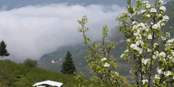 Sakarya’nın yüksek kesimlerinde bahar güzelliği