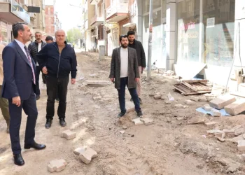 Başkan Şerifoğulları çalışmaları inceledi