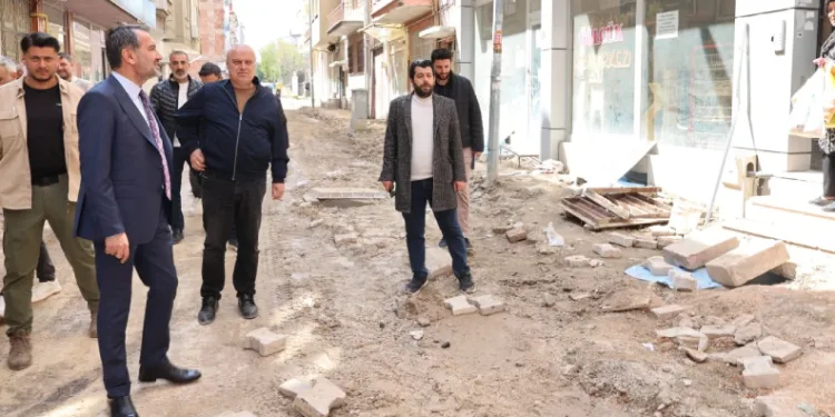 Başkan Şerifoğulları çalışmaları inceledi