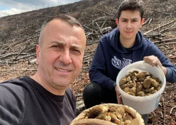 Baba ve oğlunun yüzünü güldüren mantar avı