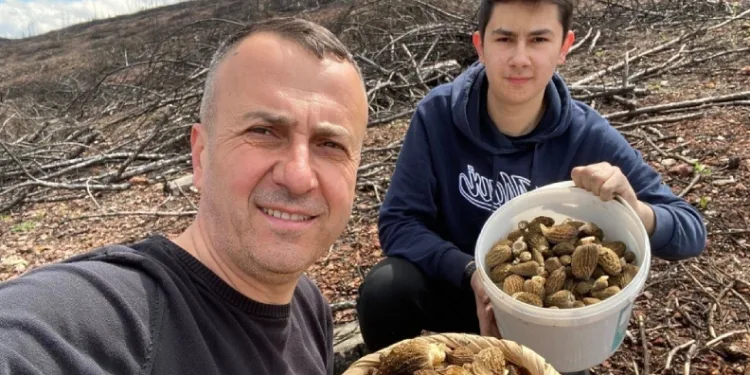 Baba ve oğlunun yüzünü güldüren mantar avı