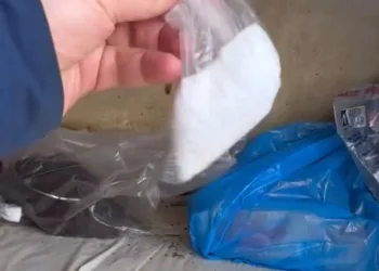 Trabzon’da yayla yolunda şaşırtan görüntü