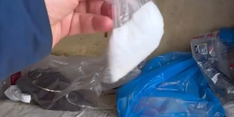 Trabzon’da yayla yolunda şaşırtan görüntü