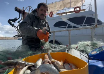 Van Gölü’nde inci kefali için av yasağı: Kaçak avlanmanın cezası 16 bin TL
