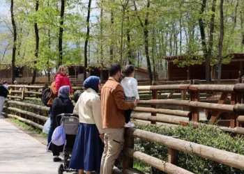 Doğaseverlerin uğrak noktası Ormanya bahara “merhaba” dedi