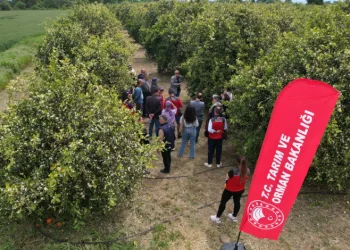 Tarımda yeni dönem başlıyor