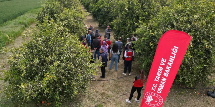 Tarımda yeni dönem başlıyor
