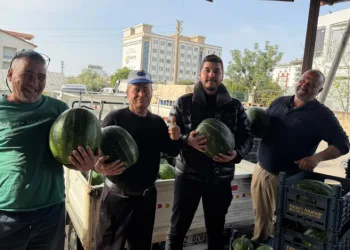 Antalya’da sezonun ilk karpuz hasadı yapıldı