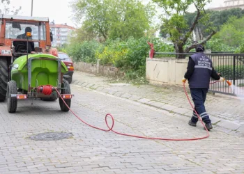 Efeler Belediyesi’nden yabani ot temizliği