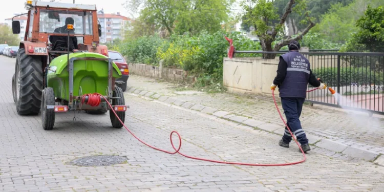 Efeler Belediyesi’nden yabani ot temizliği