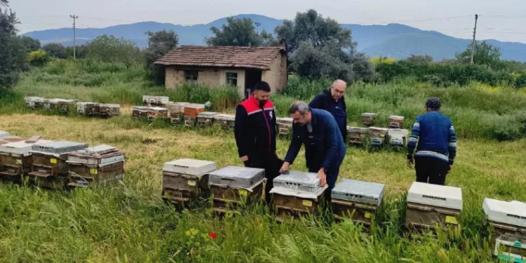 Aydın’da ana arı üretim kovanları denetlendi