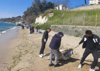 Sinop’ta sahil temizliği