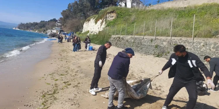 Sinop’ta sahil temizliği