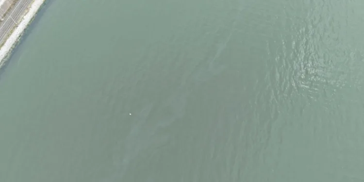 İzmir Körfezi’nde kirlilik alarmı: Aynı tehdit 11. kez görüldü