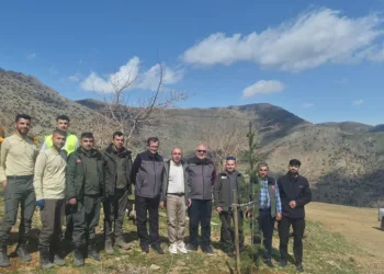 Sason’da şehitler anısına fidanlar toprakla buluşturuldu