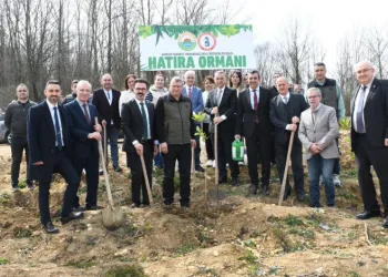 Samsun’da ormanlar ağaçlandırılıyor