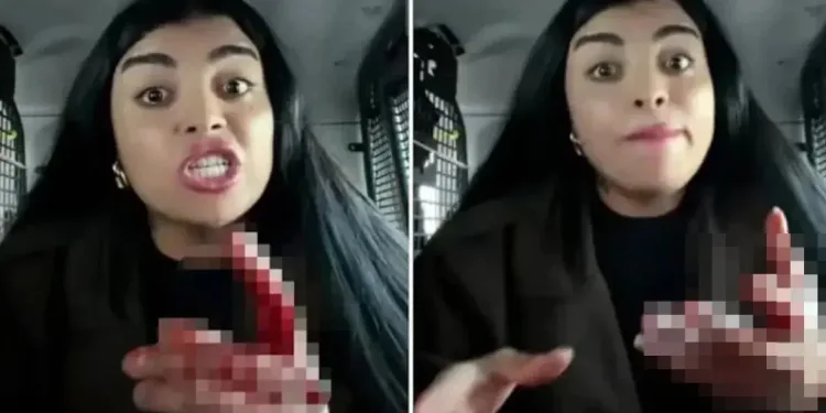 TikTok fenomeni Karagül, sokak ortasında bir kadını bıçaklayıp yayın açtı