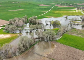 Tarım arazilerini sular altında bırakan Kanak Çayı dronla görüntülendi