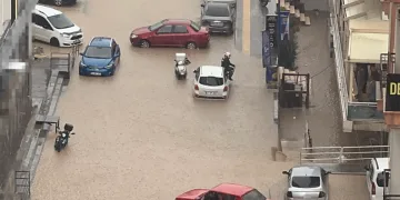 Yağmurdan Kaçtı, Otomobilin Üstüne Çıktı