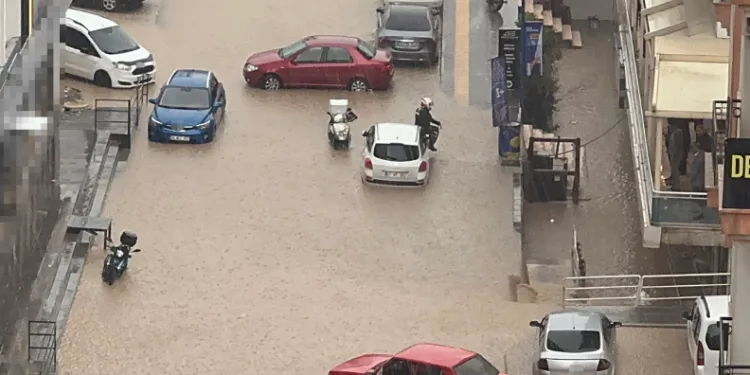 Yağmurdan Kaçtı, Otomobilin Üstüne Çıktı