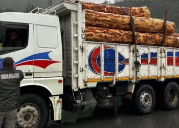 Sinop’ta orman ürünlerine 183 noktada denetim
