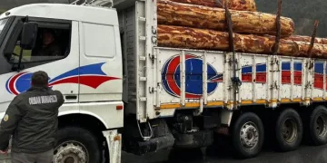 Sinop’ta orman ürünlerine 183 noktada denetim