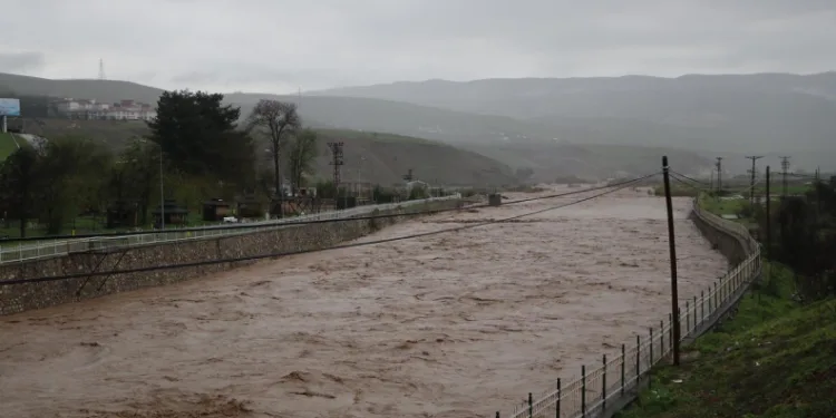 Siirt’te Sel: 200 Dekar Kaydı, 400 Hayvan Telef Oldu