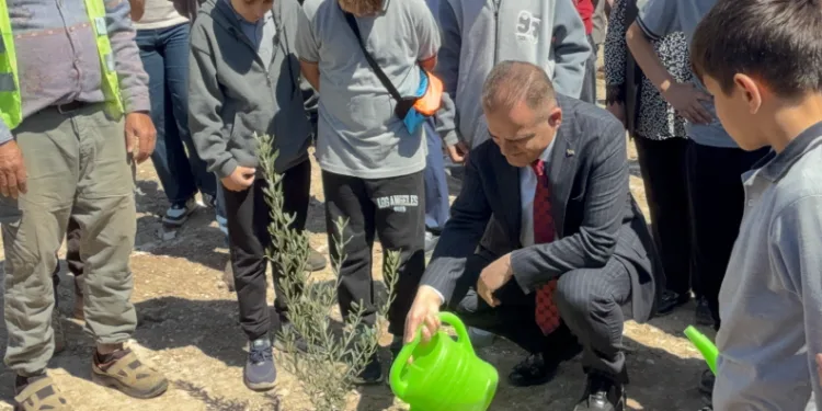 Milas’ta 4 Bin Zeytin Fidanı Toprakla Buluştu