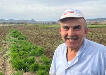 Çiftçinin doğal mesai arkadaşları iş başında