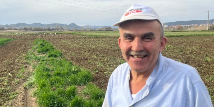 Çiftçinin doğal mesai arkadaşları iş başında