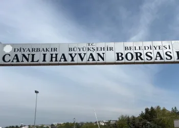 Diyarbakır Canlı Hayvan Borsası tadilata alındı