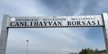 Diyarbakır Canlı Hayvan Borsası tadilata alındı