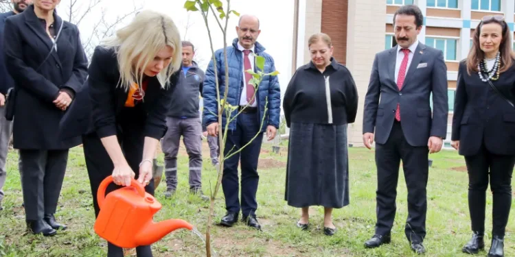 Akdeniz Üniversitesi’nde son 2 yılda 5 bin fidan dikildi